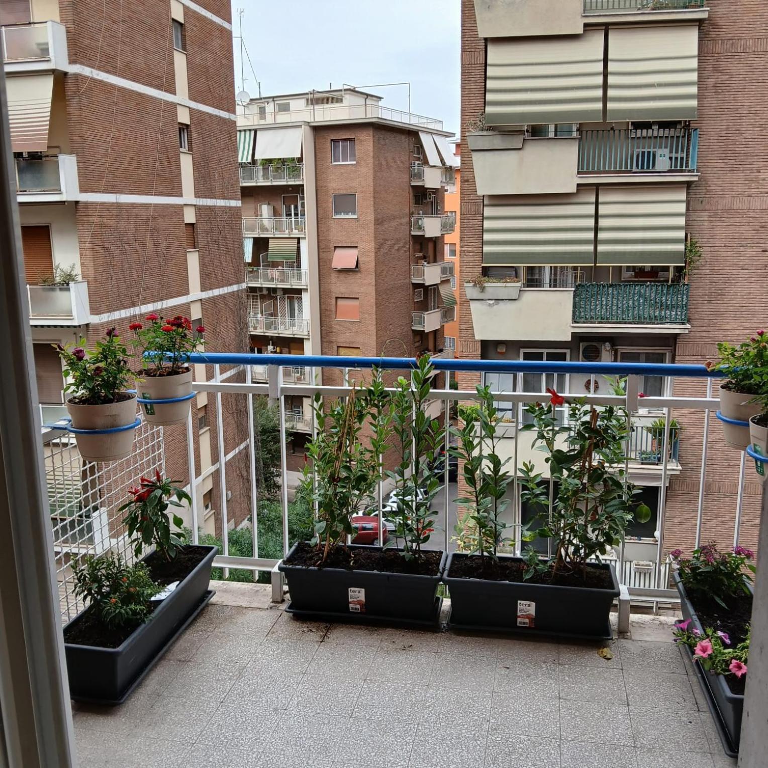 Grand Nomentana Roma Apartment ภายนอก รูปภาพ